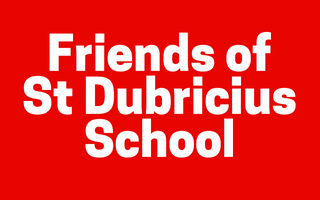 Friends of St Dubricius School